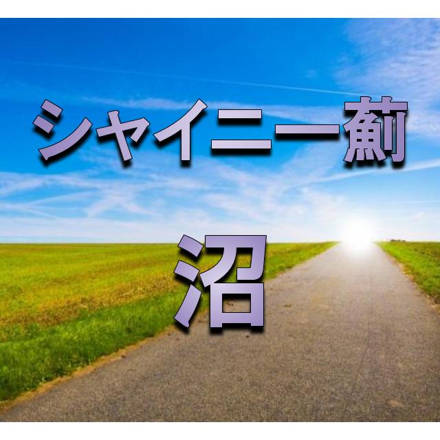 【シャイニー薊・スマイル井上】減量食 ...