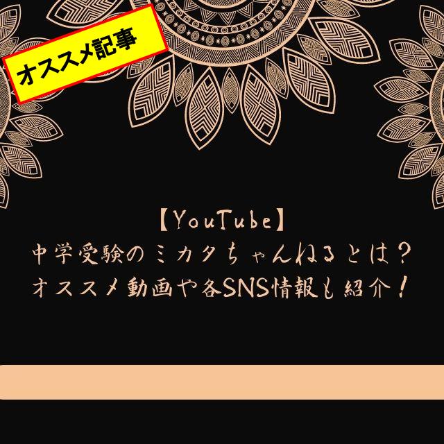 ワンピース ジンベエが仲間になるの何巻の何話 アニメではいつ確定したかについても